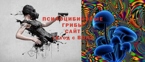 экстази Арсеньев