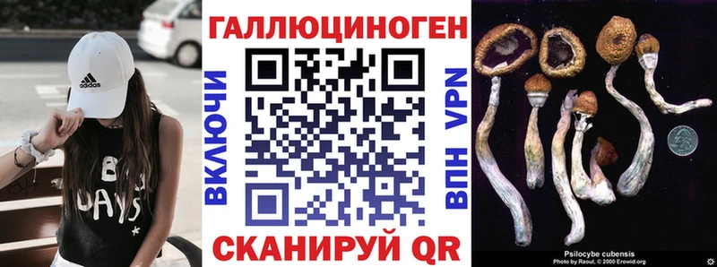 наркота  Темрюк  Галлюциногенные грибы GOLDEN TEACHER 